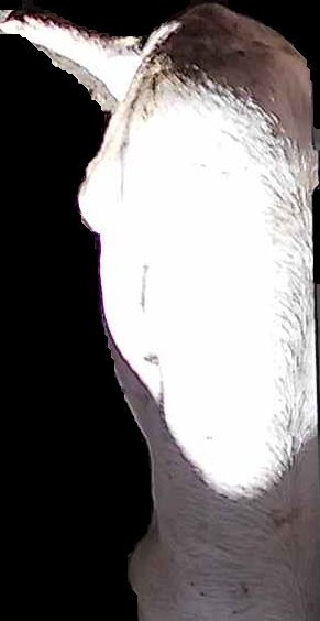 Crop