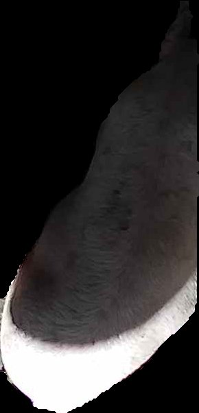 Crop