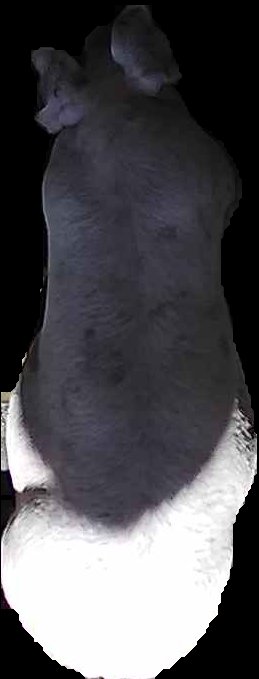 Crop