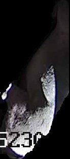 Crop