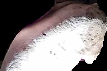 Crop
