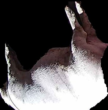 Crop