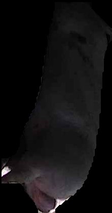 Crop