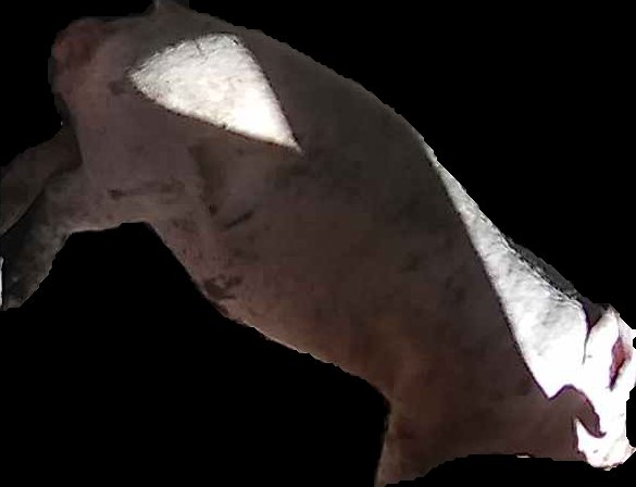 Crop