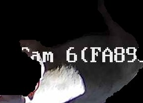 Crop