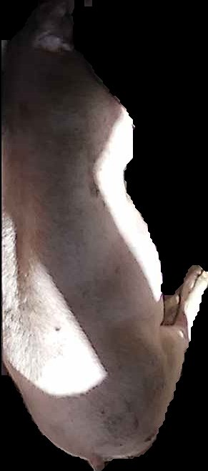Crop