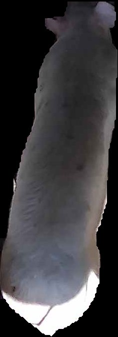 Crop