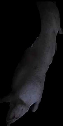Crop
