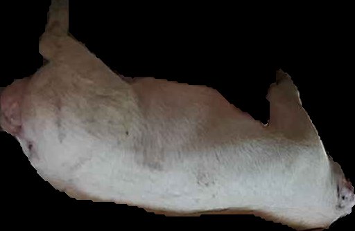 Crop