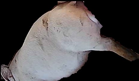 Crop