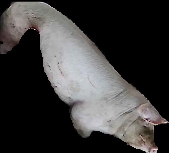 Crop