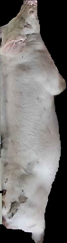 Crop