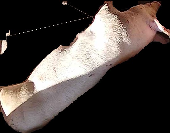 Crop