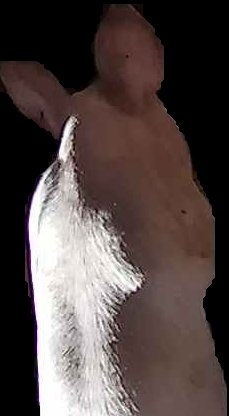 Crop