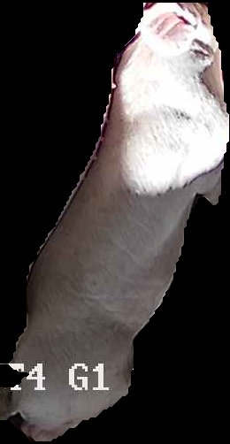 Crop