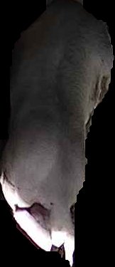 Crop