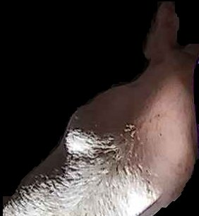 Crop