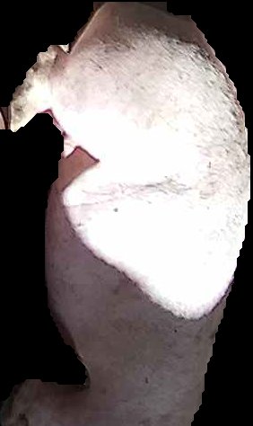 Crop