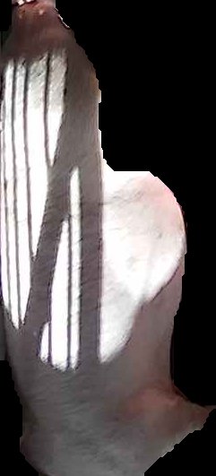 Crop
