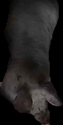 Crop