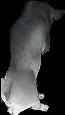 Crop