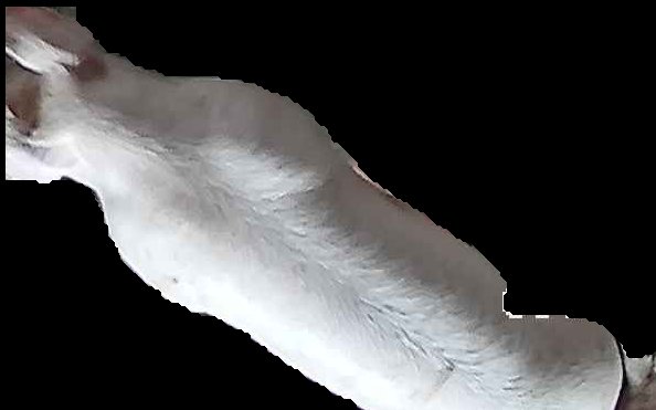 Crop