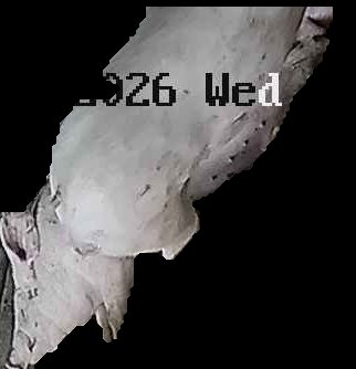 Crop
