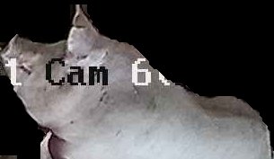 Crop