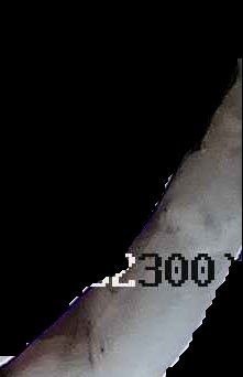 Crop
