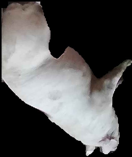 Crop