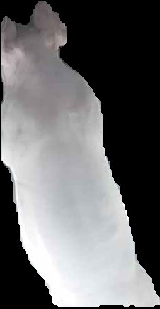 Crop
