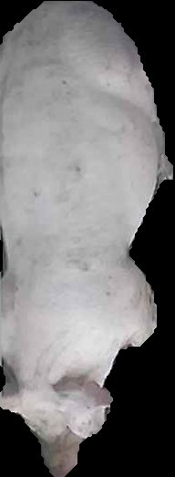 Crop
