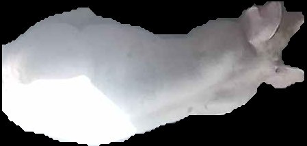 Crop