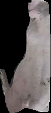 Crop