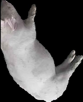 Crop
