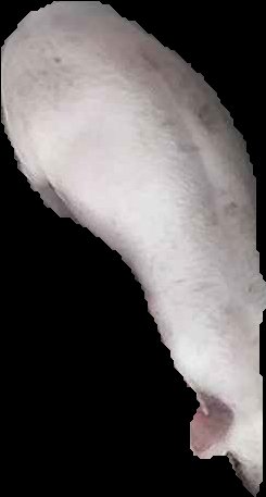 Crop