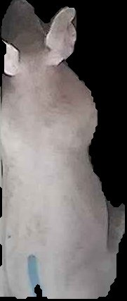 Crop