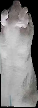 Crop