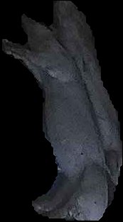 Crop