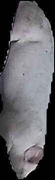 Crop