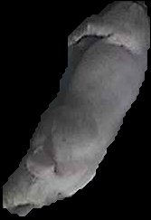 Crop