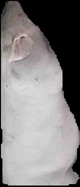 Crop