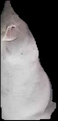 Crop