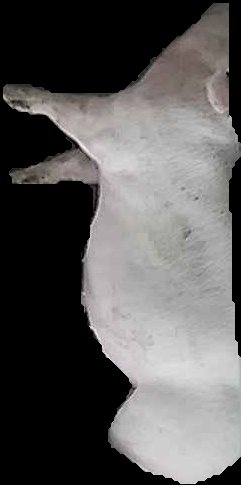 Crop