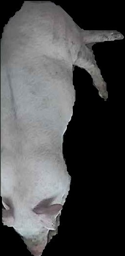 Crop