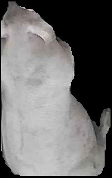 Crop