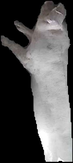 Crop