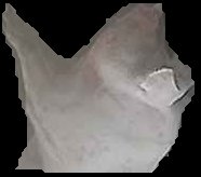 Crop