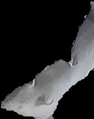 Crop