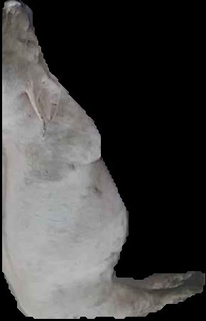 Crop